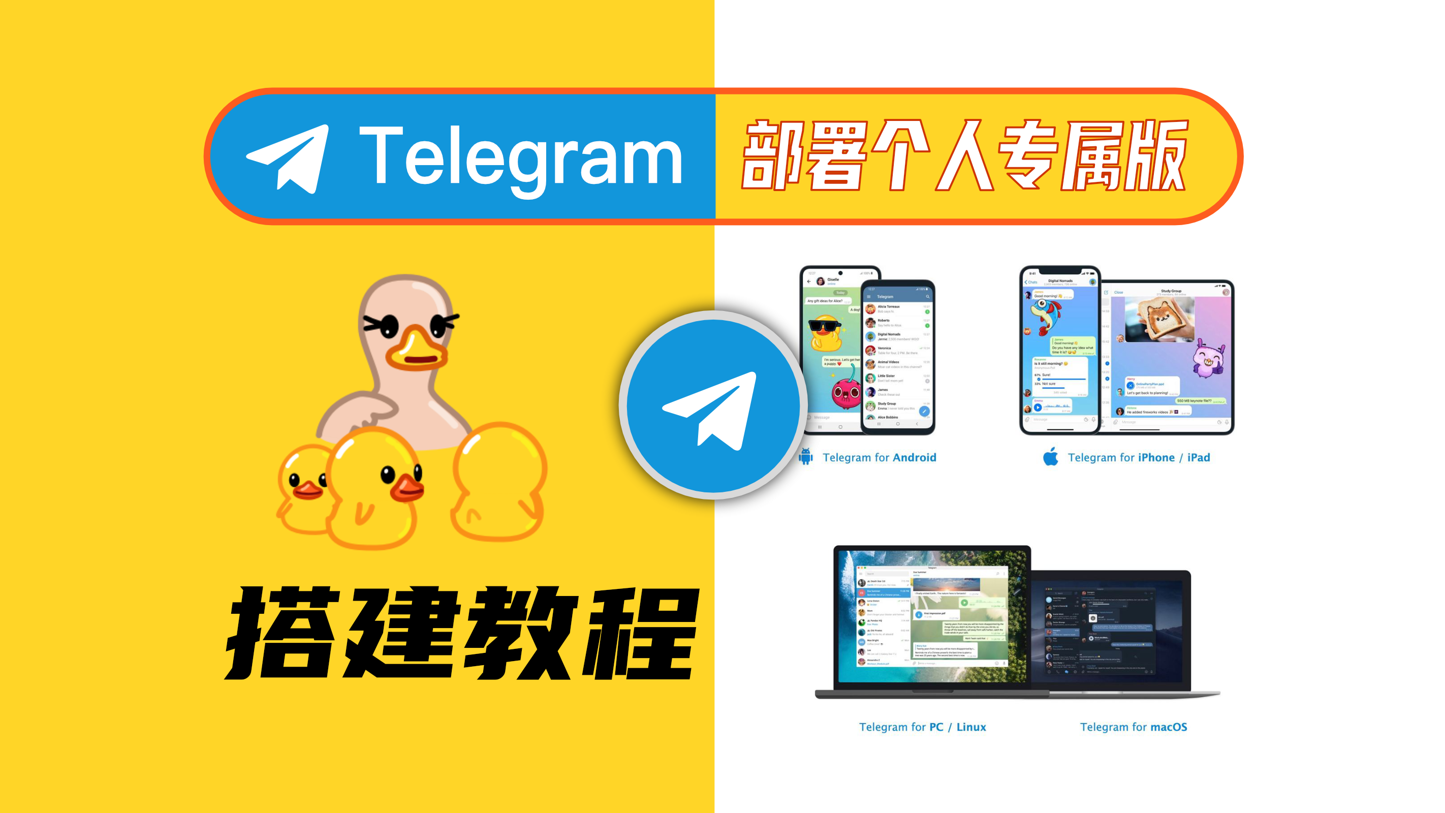 【部署搭建专属Telegram】个人/企业版私人独立版-搭建教程